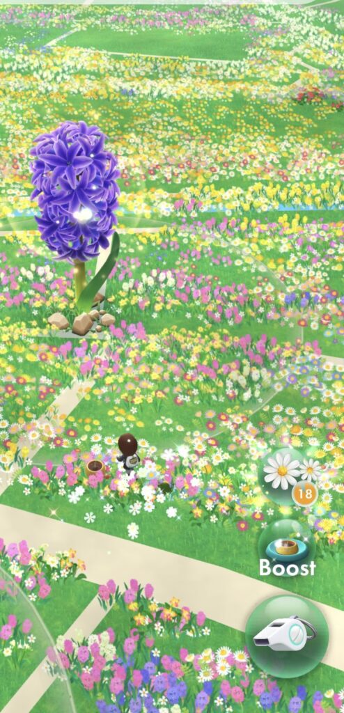 お花を植えながら歩こう♪